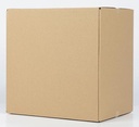 VERZENDDOOS BR 305X220X300MM