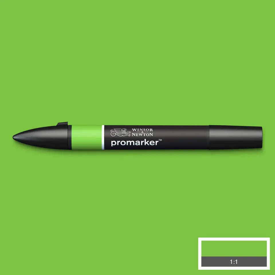 bg green.webp