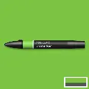 bg green.webp