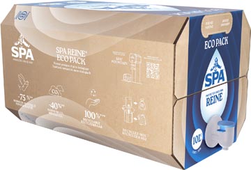 spa reine eco pack 10l