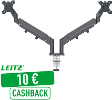 leitz ergo monitorarm dub grs