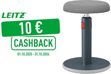 leitz cosy zit-sta kruk grijs