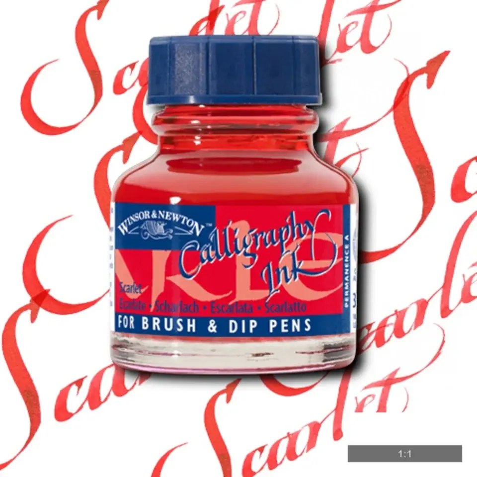 10360_c388c64b-f152-4a8f-8122-d3fbe5676fff (1).webp