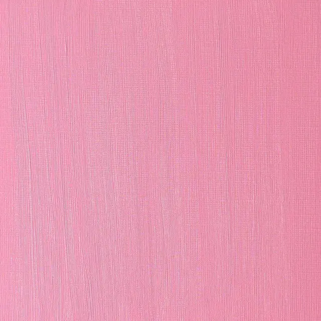 2732_1e01f31c-8d81-4fe4-bc4e-dbc692ba9c3b.webp