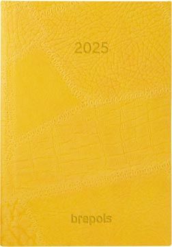 Agenda Brepols armada lucca geassorteerde kleuren