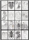 Professioneel Marker Kleurboek 25X35Cm