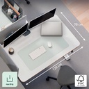 Leitz Ergo Zit/Sta bureau, ft blad 120 x 70 cm, elektrisch, op voet