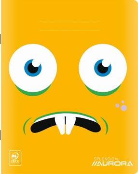 cahier 21x16,5 80g 60f q