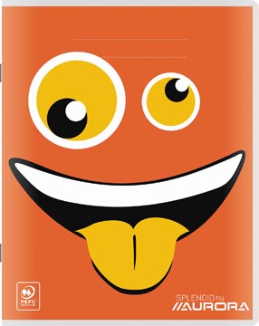 cahier 21x16,5 80g 36f c