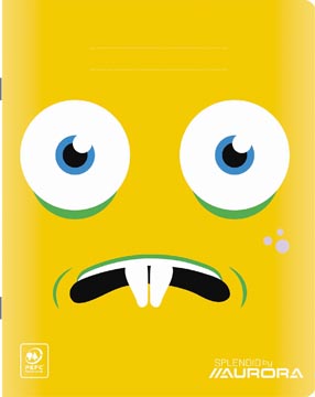 cahier 21x16,5 80g 24f q