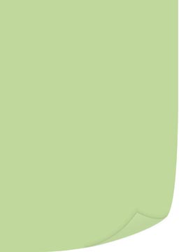 Q-Connect Gekleurd Kopieerpapier, A4, 80G, Pak Van 500 Vel, Lichtgroen
