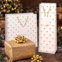 golden winter present rempli
