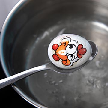 banderol crazy egg