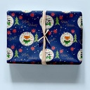 pap cadeau 70cmx2m noel bambin