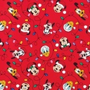 pap cadeau 70cmx2m noel disney