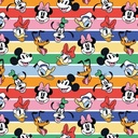 pap cadeau 70cmx2m disney