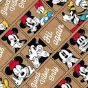 pap cadeau 70cmx2m disney