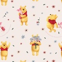 pap cadeau 70cmx2m disney