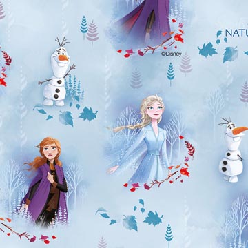 pap cadeau 70cmx2m disney