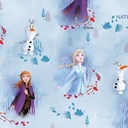 pap cadeau 70cmx2m disney