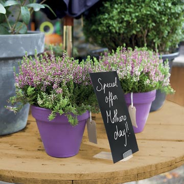 SECURIT KRIJTBORDJE BASIS 10X