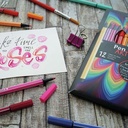 stabilo pen 68 arty x12 ass