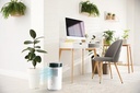 DOMO CHILLIZ AIRCOOLER DESKTOP