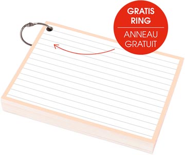 pastel fiche a6 l 50x peche
