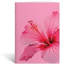 pink cahier a5 ligne 3x