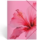 pink farde rabats carton a4