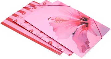 pink farde rabats carton a4