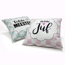 coussin 35x35cm juf-meester