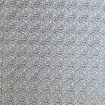 pap cadeau 70cmx2m holographie