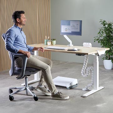 fellowes cablespine blanc