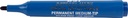 BST DETECT PERM MARKER DS10 BL
