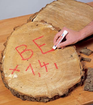 INDUSTRY PAINTER ROOD EDDING