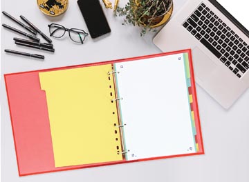 TABBLAD A4 KARTON 11G 12T ASS