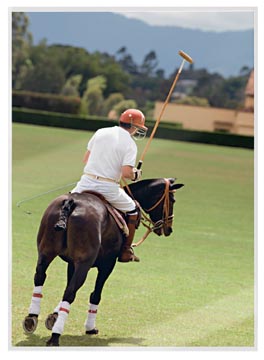 ILAM HOES A4 250MIC 100X