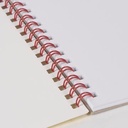 SCHETSBOEK BALLON 20VEL A4