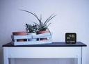ORIUM BY CEP PROFESSIONELE CO2-METER, VOOR RUIMTES TOT 75m²