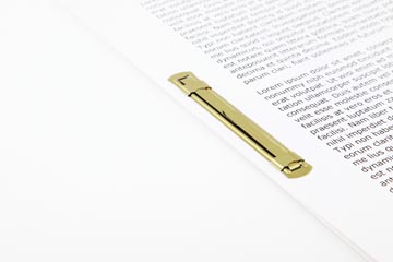 ARCHIEFBINDER GOUD PK 50