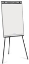 LEGAMASTER ECONOMY FLIPCHART