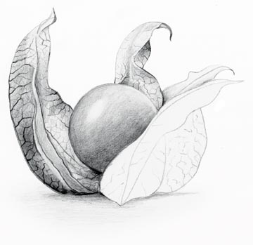 DOOS LUMOGRAPH STAEDTLER (12 POTLODEN)