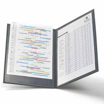 MAXI-POCKET (A4, 10)