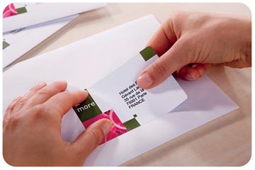 AVERY VERZ ETIK 63,5X46,6 P450