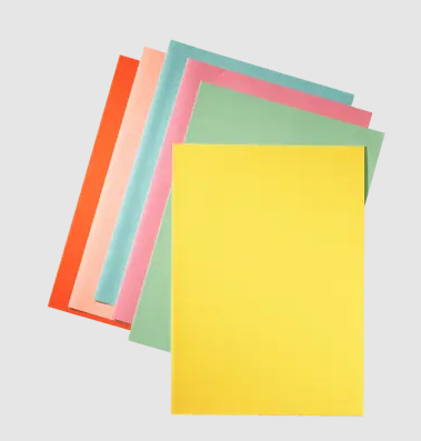 Esselte inlegmap A4 80g x 50 assorti