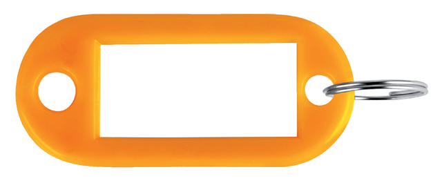 Sleutelhangers 100 Stuks (Oranje)