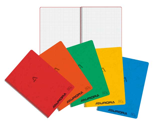 Spiraalschrift Karton, A4, 120Blz, Geruit