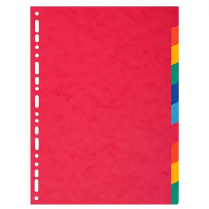Tabbladen In Glanskarton 225G - 10 Tabs - A4 - Geassorteerd