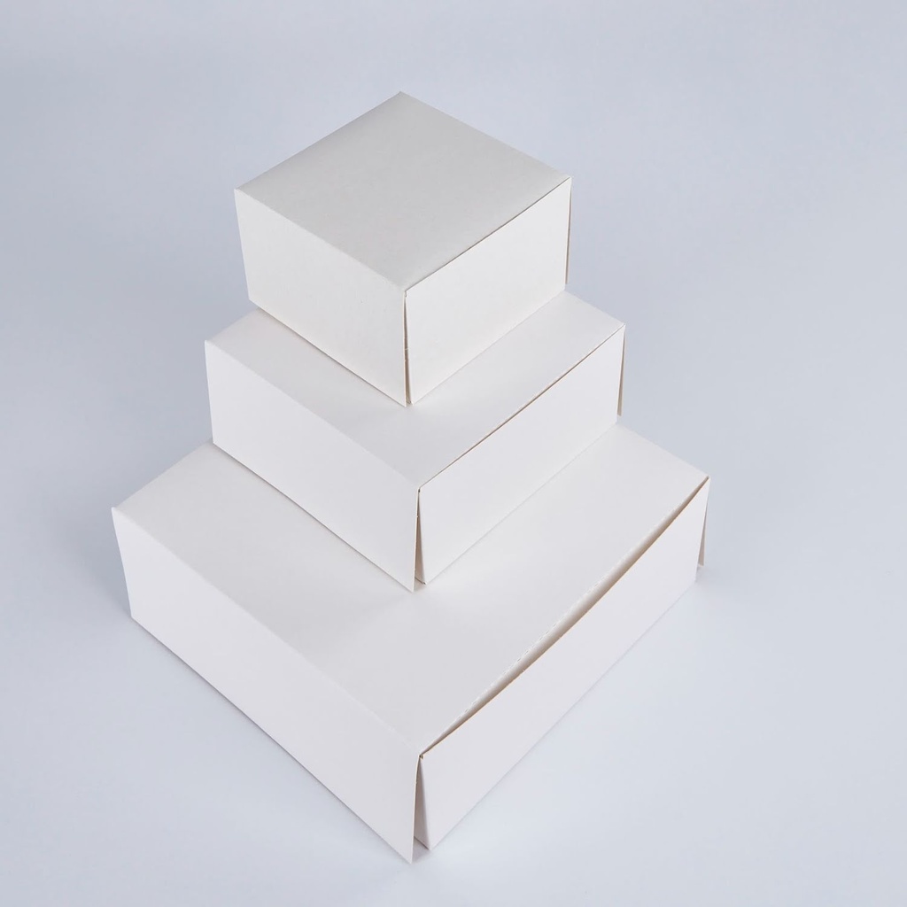 witte patisserie doos karton (23x23x8cm) 10 stuks